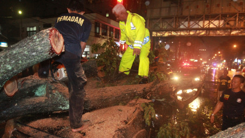 Hujan Deras Disertai Angin Kencang di Jaksel: Pohon Tumbang Timpa