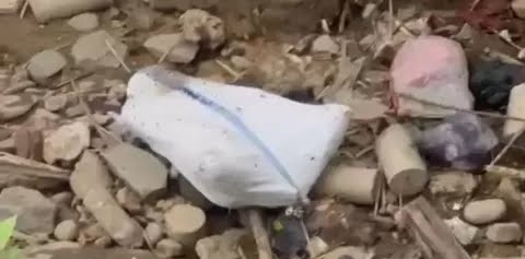 Terduga Pelaku Pembunuh Wanita yang Ditemukan Terbungkus Dalam Karung Ditangkap Terduga Pelaku Pembunuh Wanita yang Ditemukan Terbungkus Dalam Karung Ditangkap Polisi