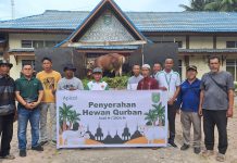 Peringati Hari Raya Idul Adha, Apical Dumai Salurkan Hewan Kurban ke Masyarakat
